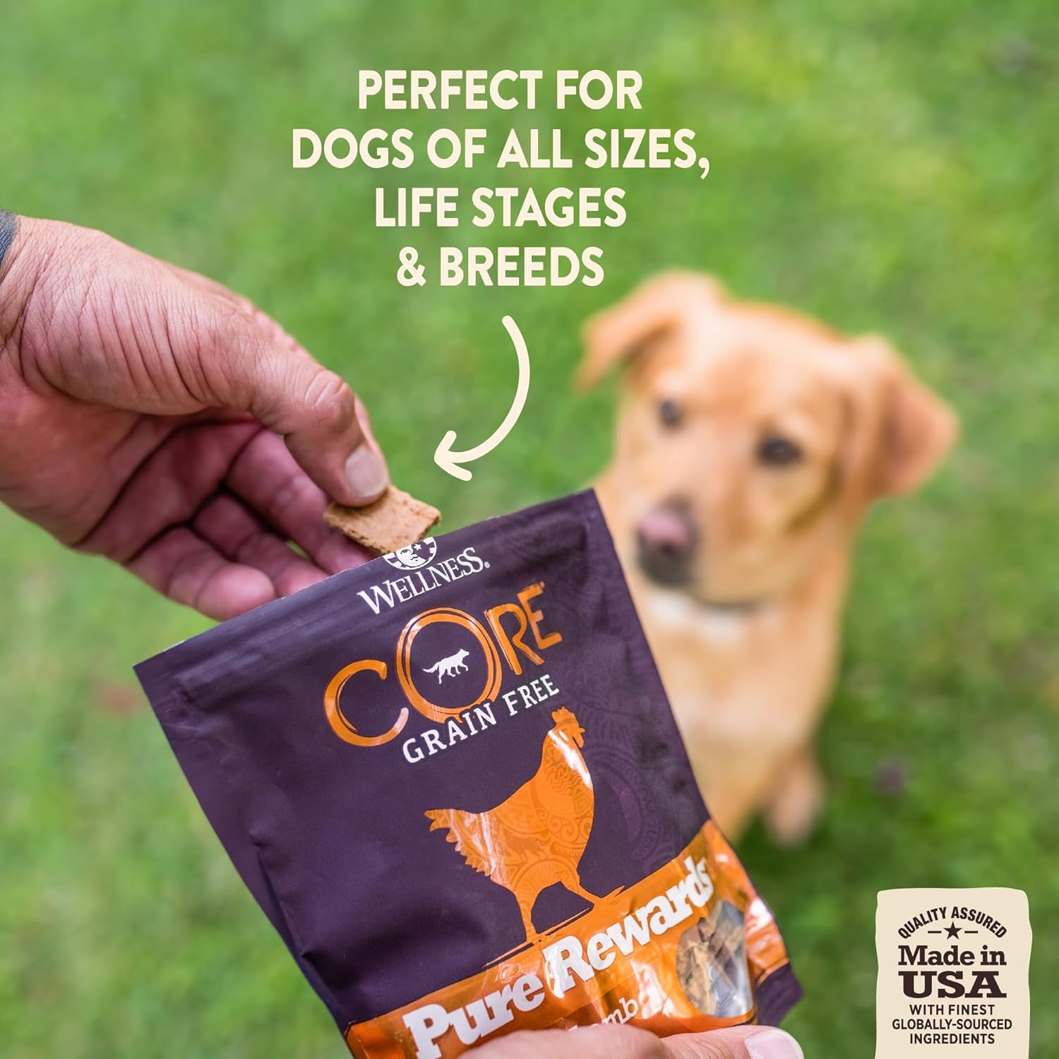 CORE Pure Rewards, Grain-Free Tender Jerky Treats, Made in USA (Turkey Recipe, 4-Ounce Bag)